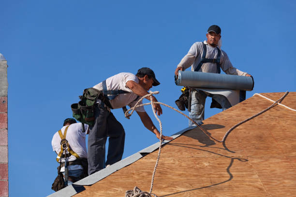 Best Commercial Roofing Services  in Auburn, IL
